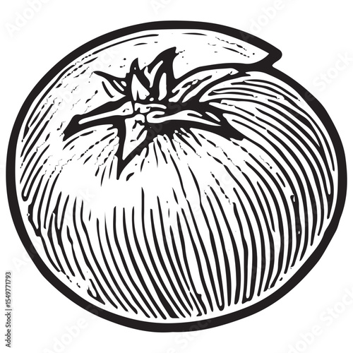 Black-and-white hand-drawn sketch of a whole tomato with detailed texture and stem, featuring a rustic, vintage style ideal for organic food art, kitchen decor, or vegetable packaging designs