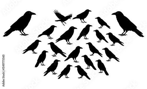 Diverse Collection of Raven and Crow Birds in Various Poses, Flying and Perching on White Background