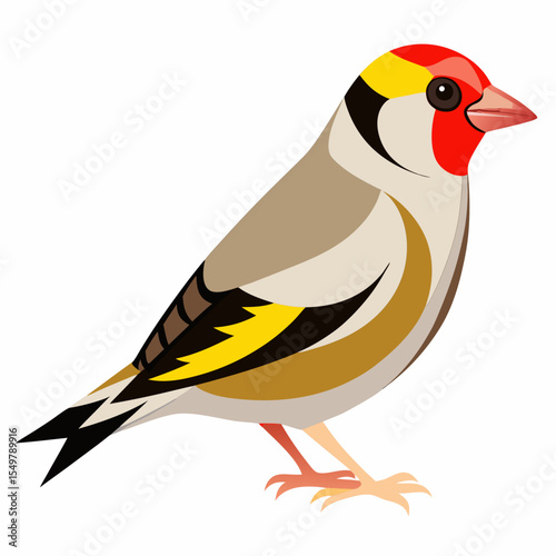 Carduelis Caniceps Vector Illustration – Exotic Goldfinch Species with Vibrant Plumage