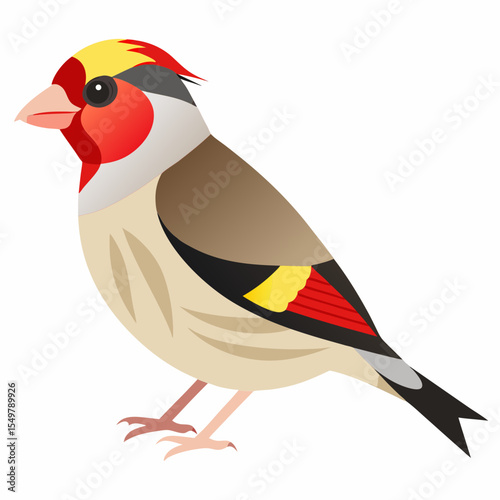Cartoon Grey-Crowned Goldfinch Vector Illustration – Bright Songbird with Black Wings