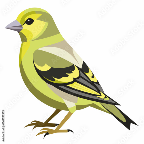 Carduelis Caniceps Vector Illustration – Grey-Crowned Goldfinch Perched in Side View