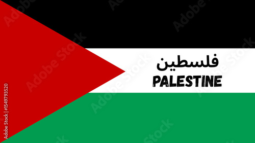 Palestine flag describing social issues