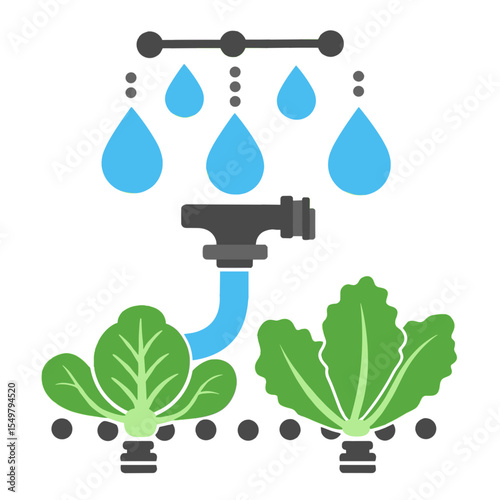 Automated drip irrigation system watering leafy vegetables