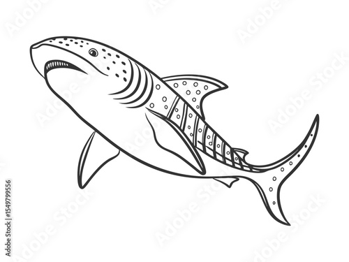 Vector hand-drawn sketch doodle outlines whale shark isolated on a white background