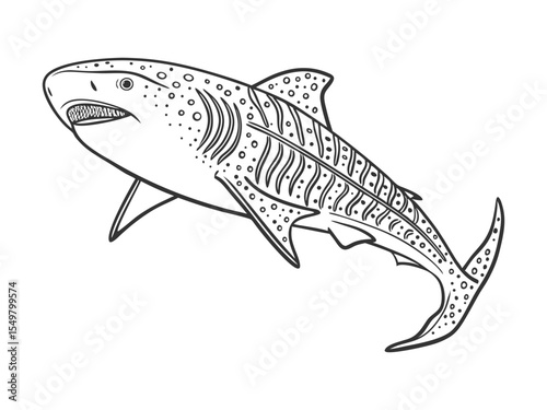 Vector hand-drawn sketch doodle outlines whale shark isolated on a white background