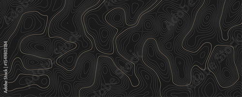 Abstract background wavy topographic line contour geography map. Seamless pattern and banner design. Modern and dynamic feel to topographic mapping vector illustration.