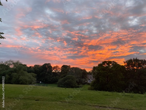 sunset in the park