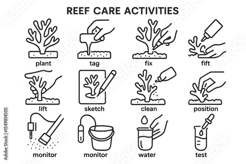 Reef care activities illustrated: planting, tagging, fixing, lifting, sketching, cleaning