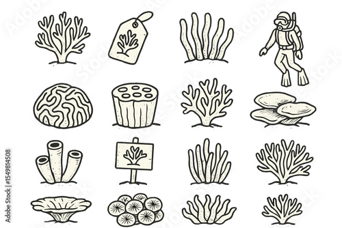 Hand-drawn coral and marine life icons on green background