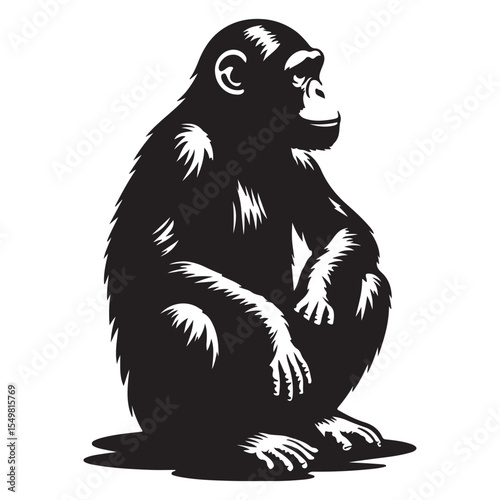 Vector drawing of a chimpanzee set silhouette and vector chimpanzee line art