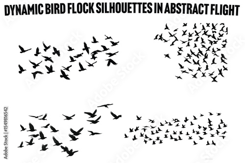 Bird Migration Flock A Natural Wildlife Vector Collection