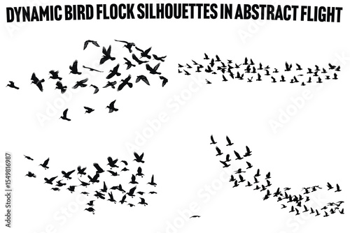 Bird Migration Flock A Natural Wildlife Vector Collection
