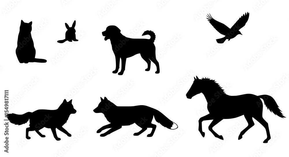 Obraz premium Various Dog Breeds