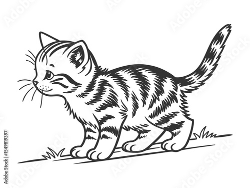 Small tabby kitten vector illustration. Cat for vinyl cutting and printing. Lovely pets
