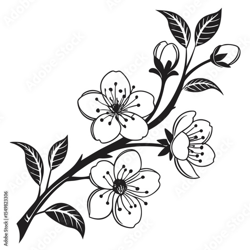 Elegant black and white illustration of a blooming cherry blossom branch with leaves and buds