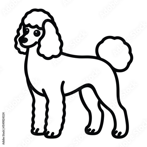 Simple black and white line drawing of a poodle standing on a white background