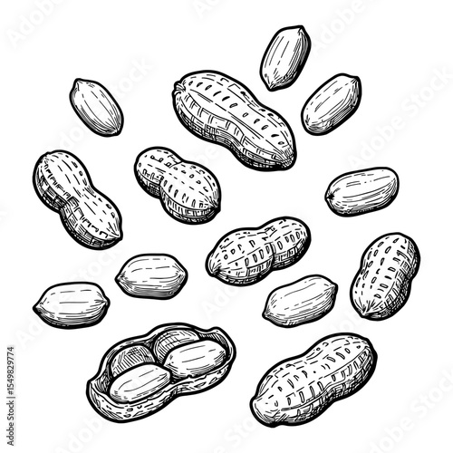 Collection of Peanuts Falling Floating or Scattered Black and White Outline Line Art Drawing