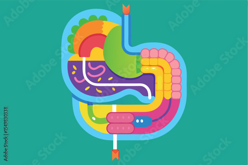 Colorful illustration of digestive system displaying organs and their functions in a playful design