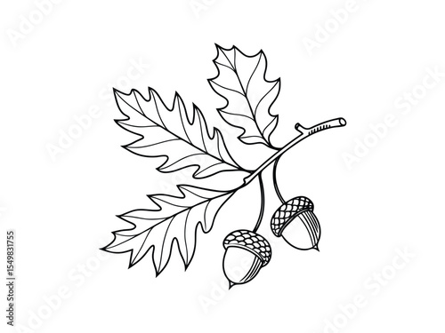 One line drawing of an autumn leaf. Autumn script font and leaves isolated on a white background vector illustration