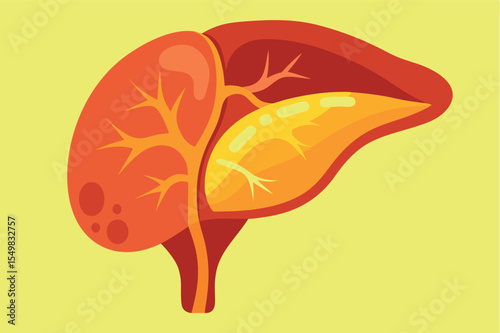 Detailed illustration of a human liver showing structure and anatomy on a bright yellow background