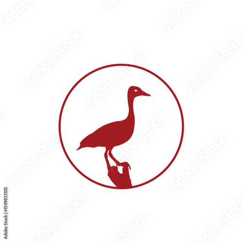vintage whistling duck and north star logo design