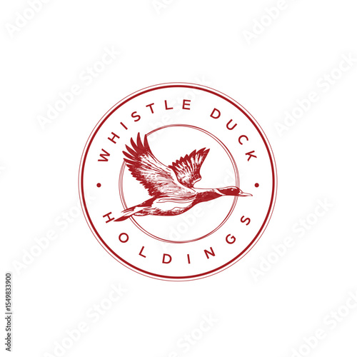 vintage whistling duck and north star logo design