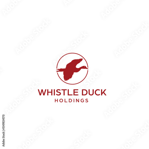 vintage whistling duck and north star logo design