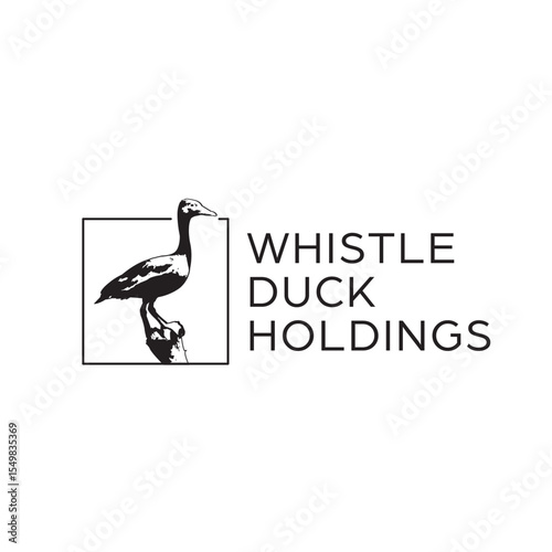 vintage whistling duck and north star logo design