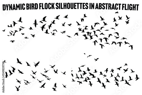 Collective Flight The Dynamic Pattern of a Bird Flock