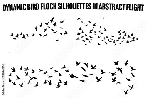 Collective Flight The Dynamic Pattern of a Bird Flock