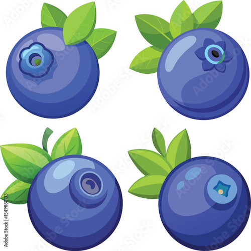  A single blueberry with  white background