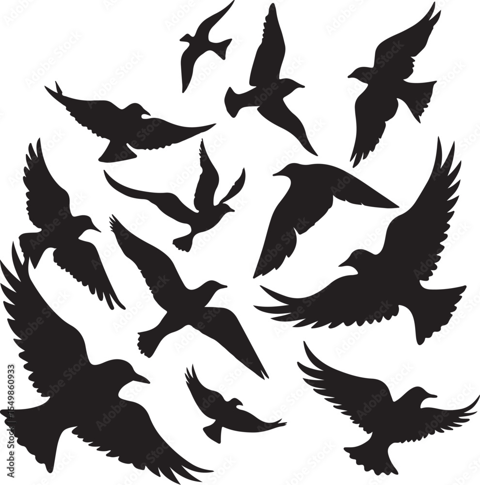 Obraz premium Flying Bird Silhouette Set – multiple birds in flight with varied wing positions.