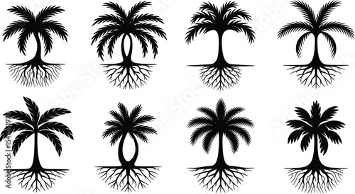 Palm Tree with Roots Silhouette Vector Set – Tropical Nature Symbol Design Collection