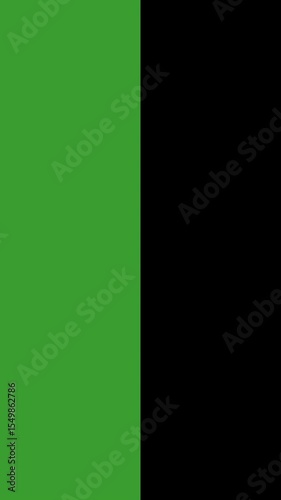 Vertical video