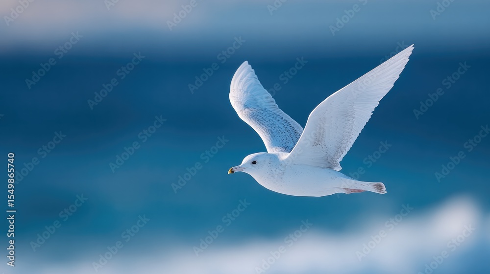 Fototapeta premium serene image of bird in mid-flight wings spread gracefully against vast blue sky