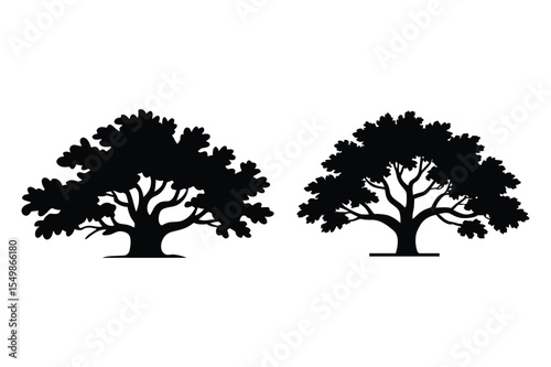 Two Silhouetted Oak Trees