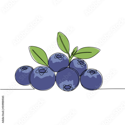 Fresh blueberries with green leaves in a minimal style  