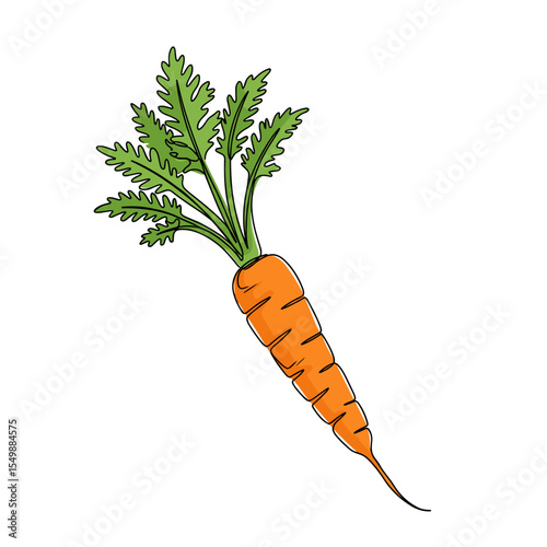 Fresh orange carrot with green leaves isolated on white background  