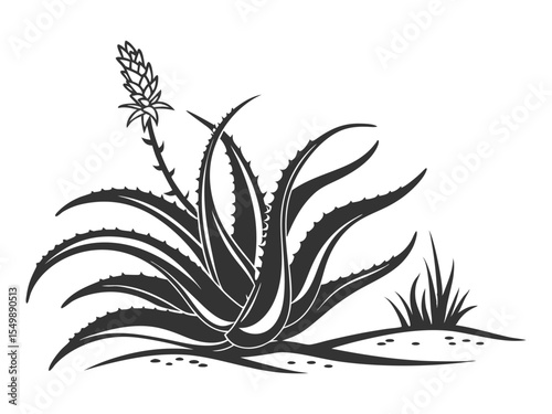 Aloe Vera Vector Silhouette, Agave plant vector, agave symbol. Aloe vera icon in liner stroke style