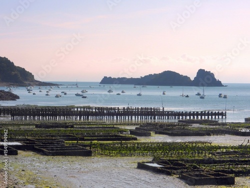 Parc à huitres de Cancale.