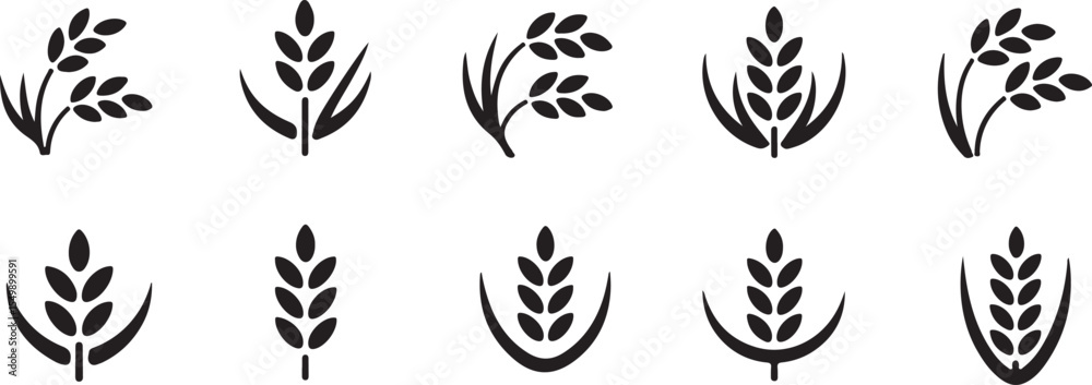 Obraz premium Black and White Stylized Rice Plant Illustration