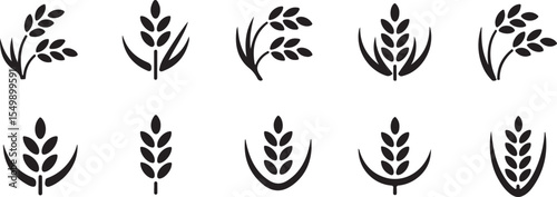 Black and White Stylized Rice Plant Illustration