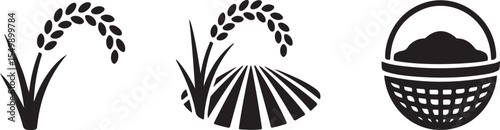 Black and White Stylized Rice Plant Illustration