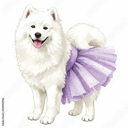 Isolated, white background. Cute Samoyed dog wearing a purple tutu smiling happily  
