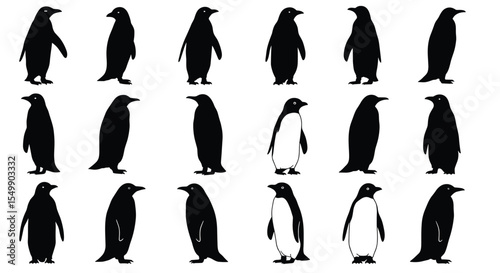 Black and White Penguin Silhouettes and Outlines: Antarctic Wildlife, Diverse Poses, Vector Collection for Nature, Animal, and Design Projects