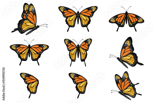 A colorful vector illustration featuring a beautiful set of monarch and swallowtail butterflies with isolated on white background Butterfly Set – Flying and Resting Poses Collection