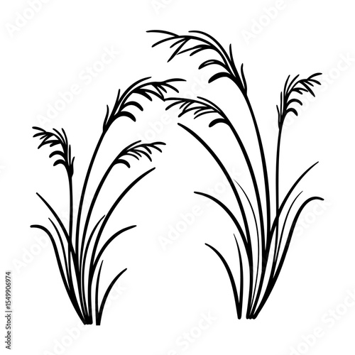 Black and White Illustration of Tall Grass Blades vector