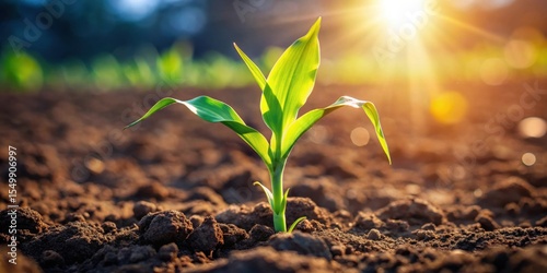 A single seedling sprouts in rich soil, bathed in the golden light of sunrise, symbolizing growth and new beginnings.