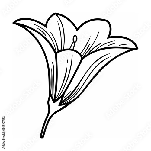 Single Line Drawing Bell Flower Botanical Illustration