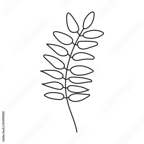 Simple Line Art Illustration of a Branch with Leaves.Rowan leaf.
